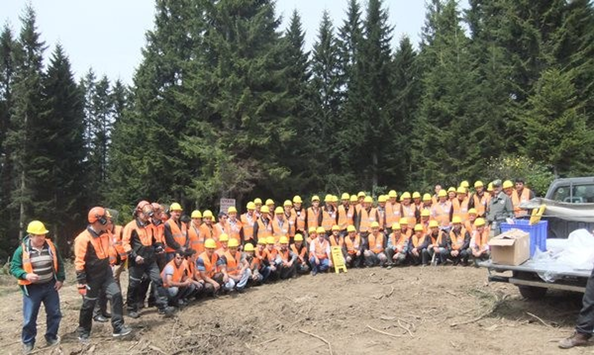 Giresun\'da Orman İşçilerine Arazi Tatbikatı Yapıldı