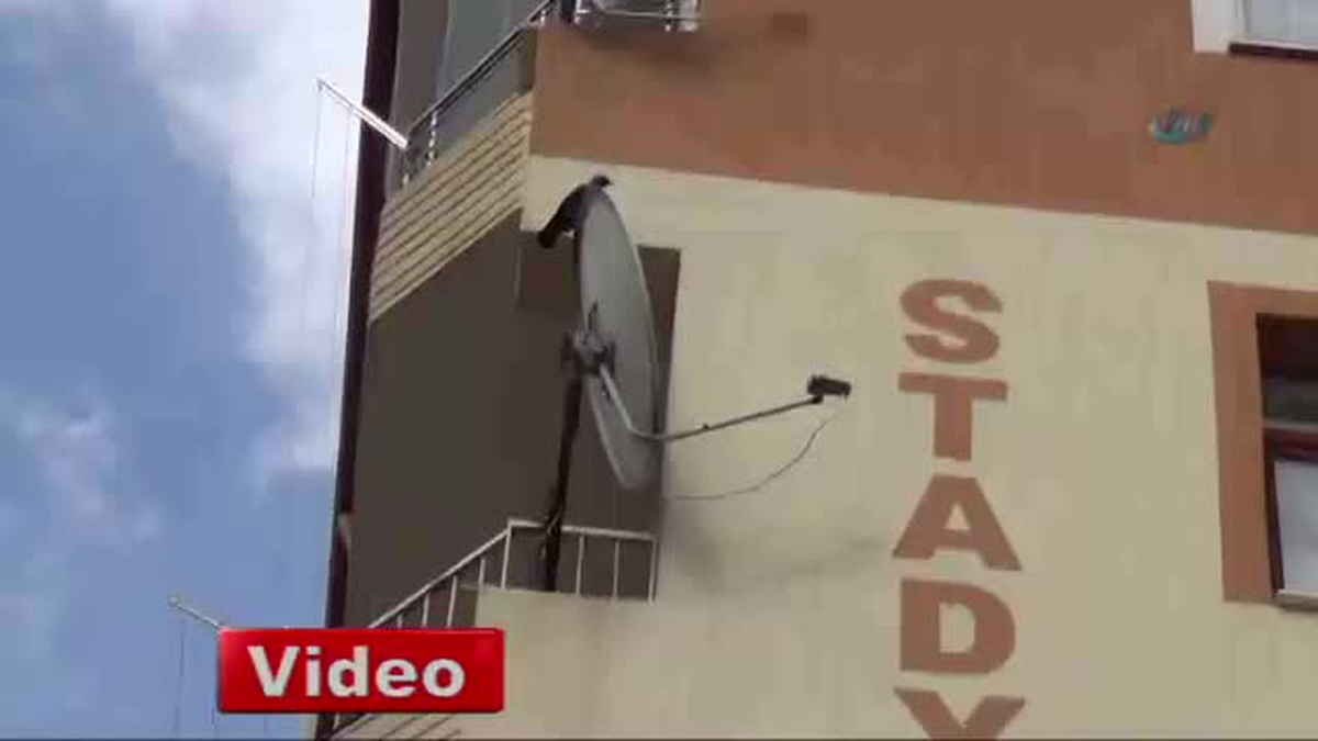 Karga Yavrularına Yaklaştırmadı
