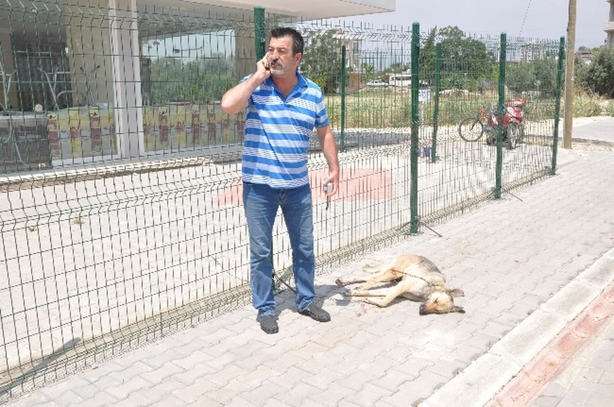 Köpeği Motosikletin Arkasına Bağlayıp Sürükledi