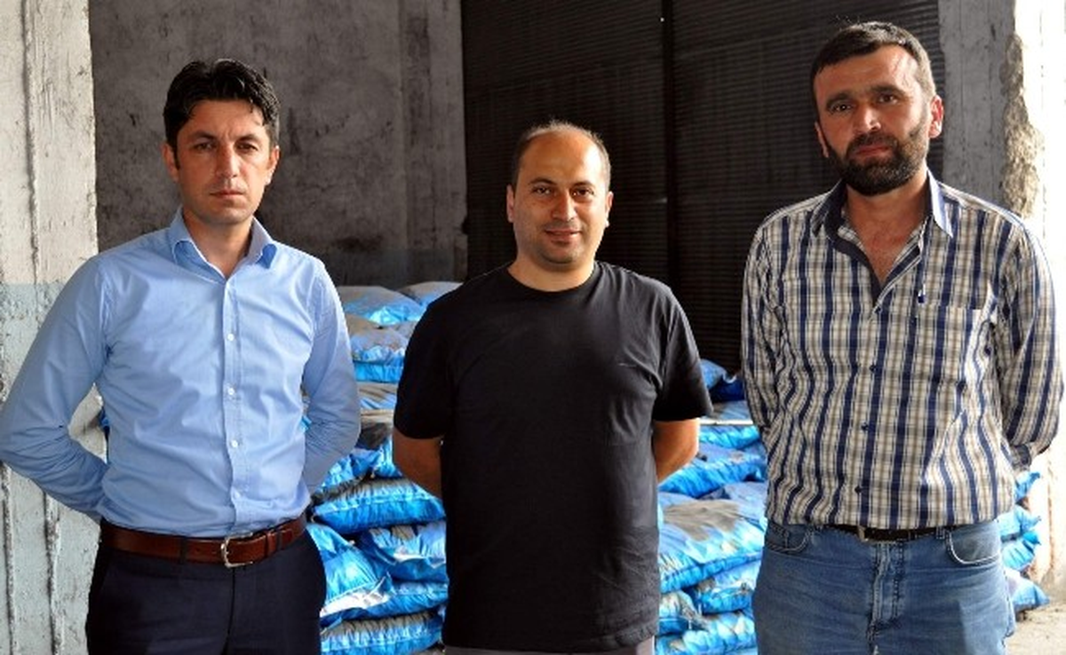 Kurul Karar Aldı, Kömürcüler Yandı