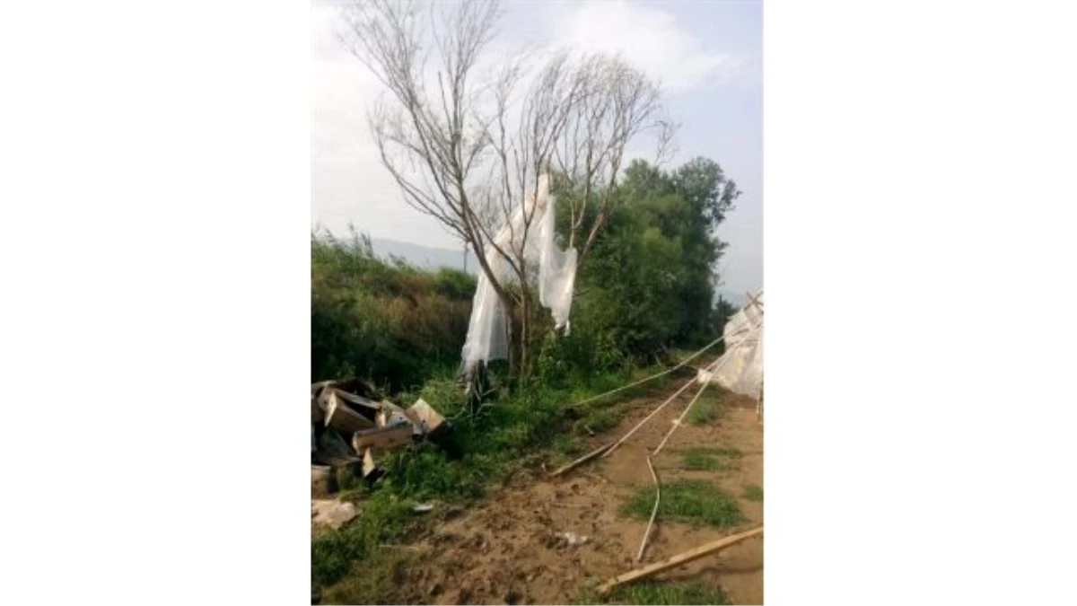 Pamukova\'da Şiddetli Yağmur Çiftçiyi Mağdur Etti