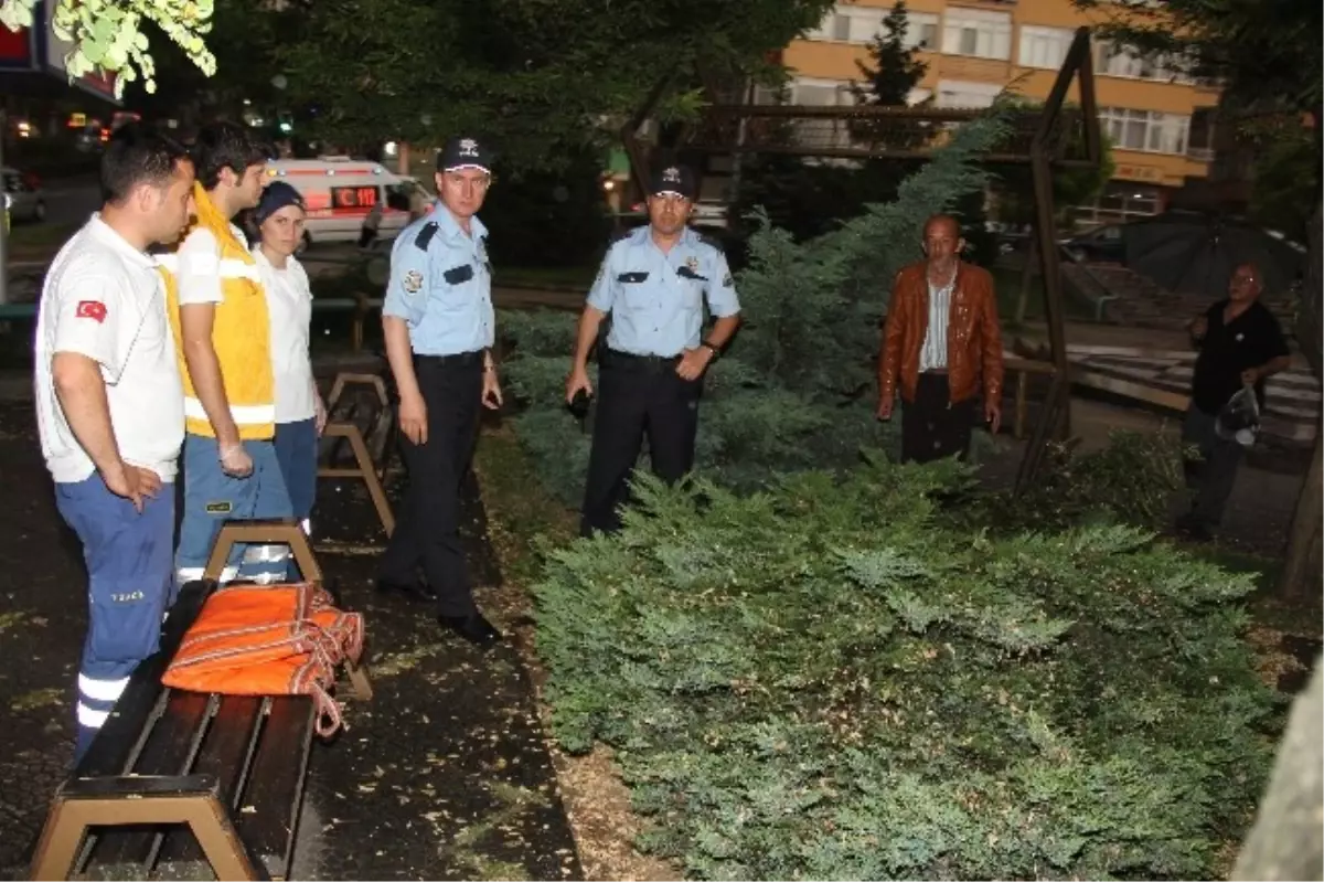 Parkta Ağabeyimin Üzerine Ağaç Devrildi" Diye Polisi Alarma Geçirdi