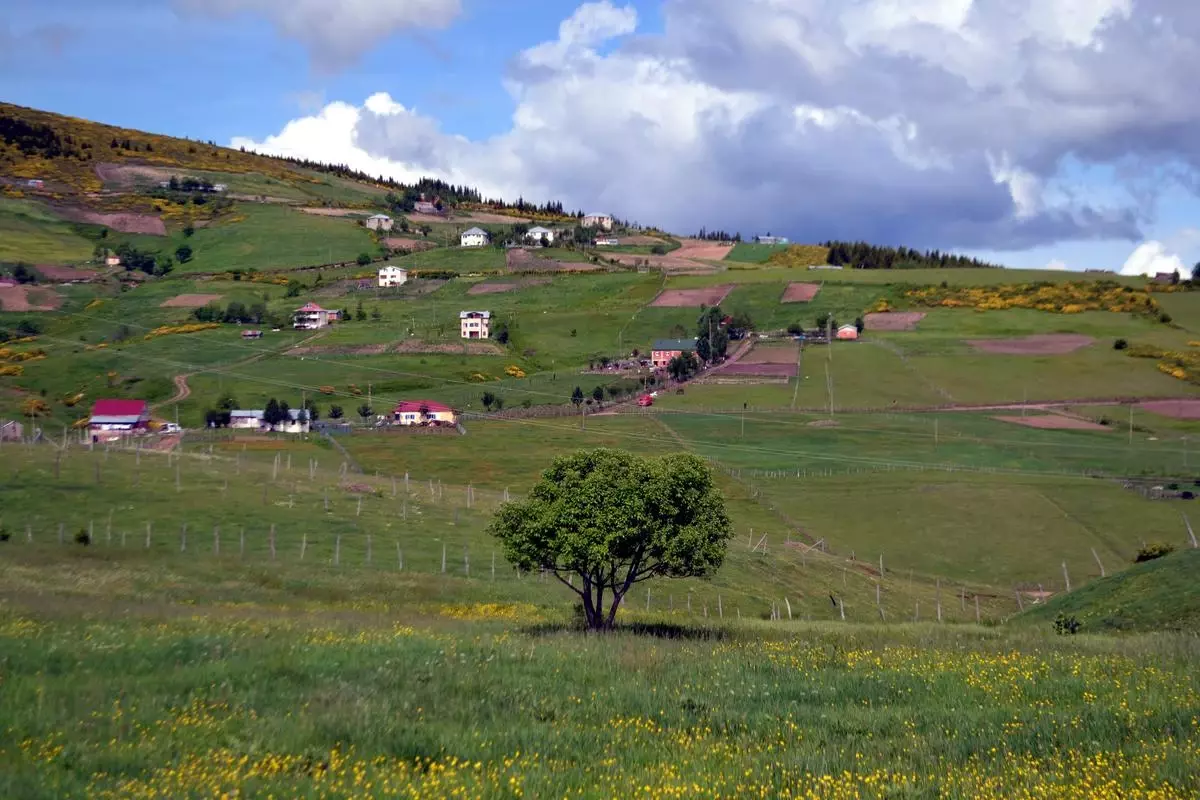 Yayla Turizmine "Tatil Köyü" Desteği