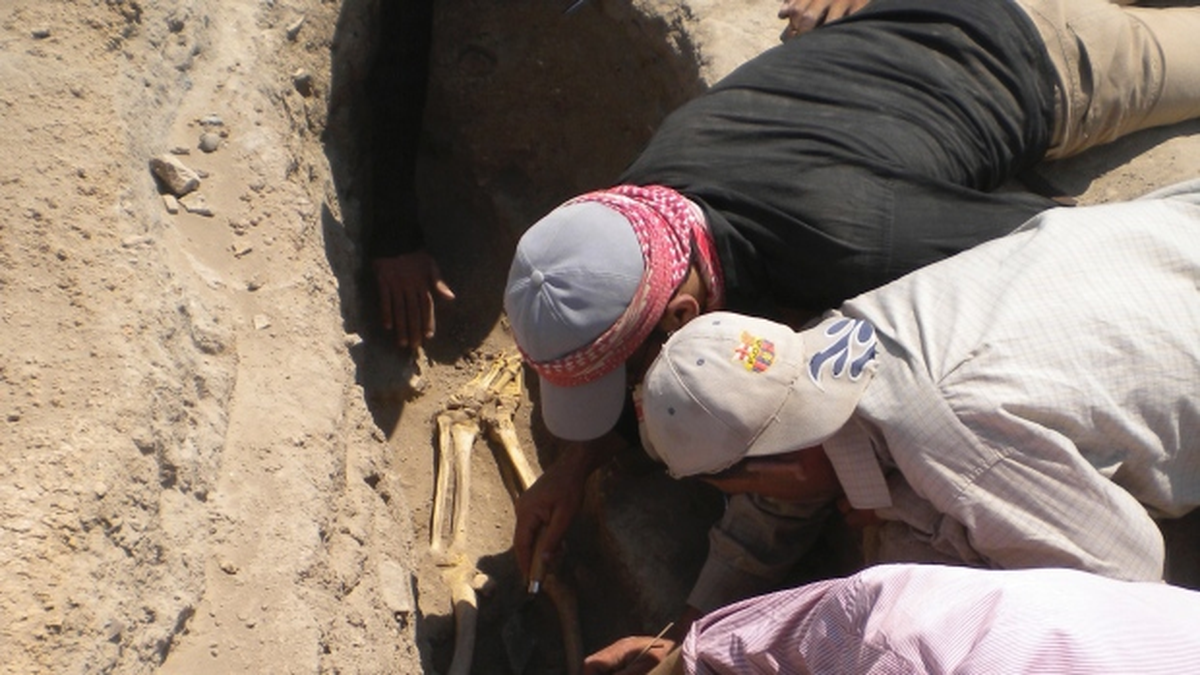 Dünyanın En Eski Paraziti Bulundu