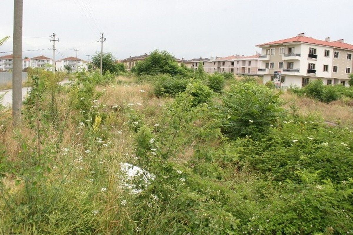 İkinci Adres Aziziye ve Mergiç Mahalleleri