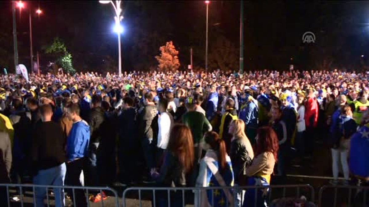 2014 FIFA Dünya Kupası - BOSNA