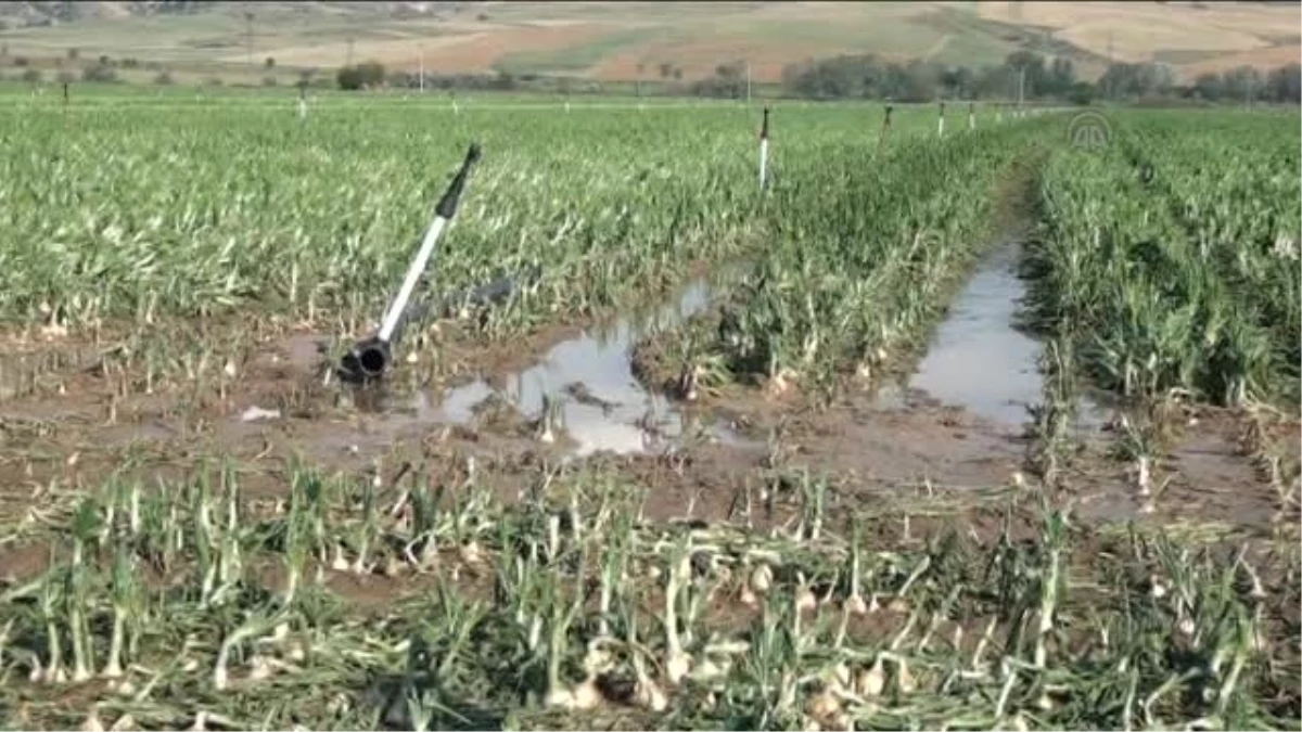 Amasya\'da Dolu Yağışı Tarım Arazilerine Zarar Verdi