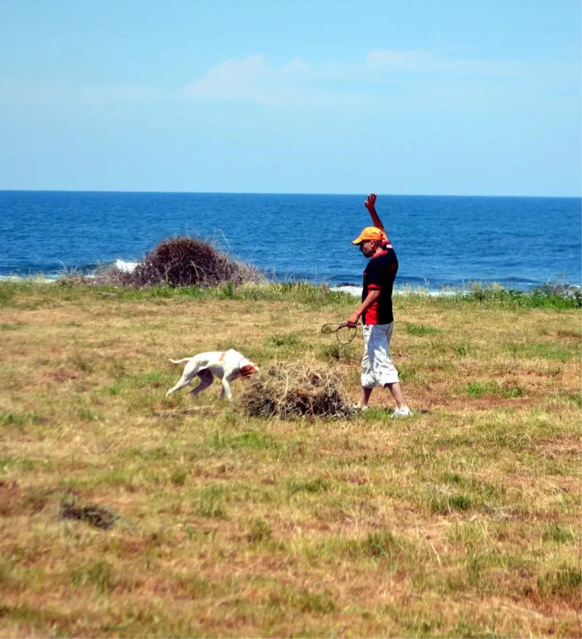 Av Köpekleri Dereceye Girmek İçin Yarıştı