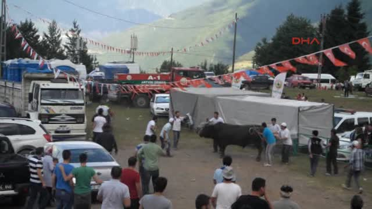 Boğalar Seyircilerin Arasına Daldı