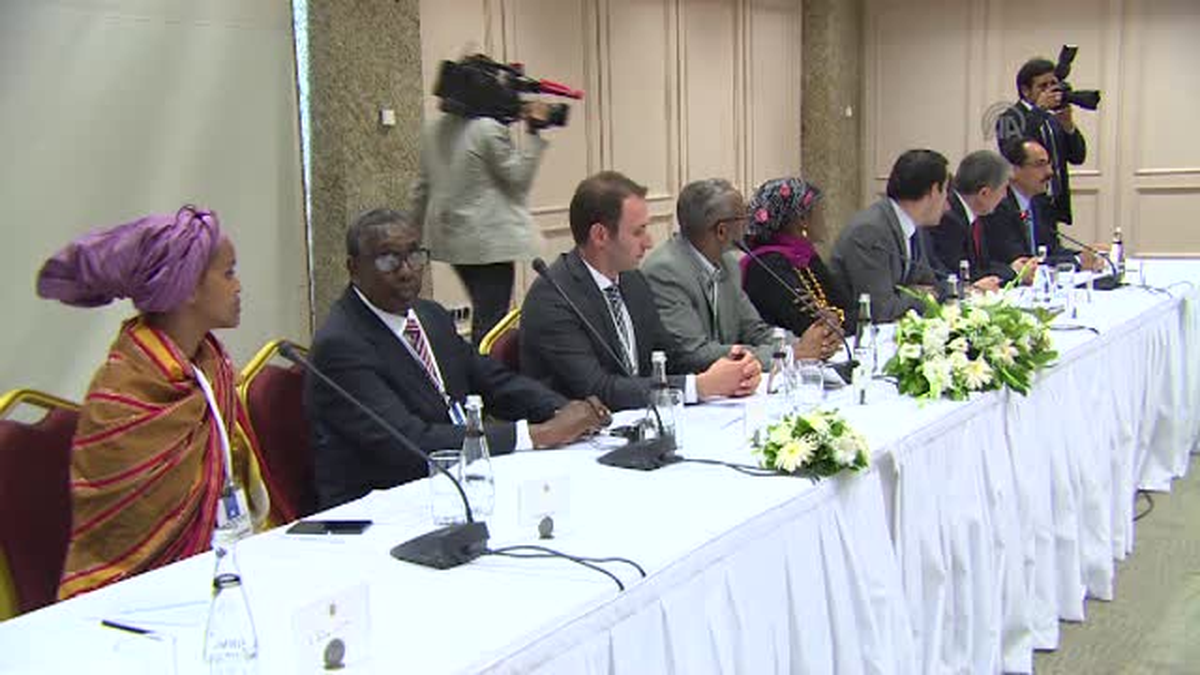 Erdoğan, "Global Somali Diasporası" heyetini kabul etti -
