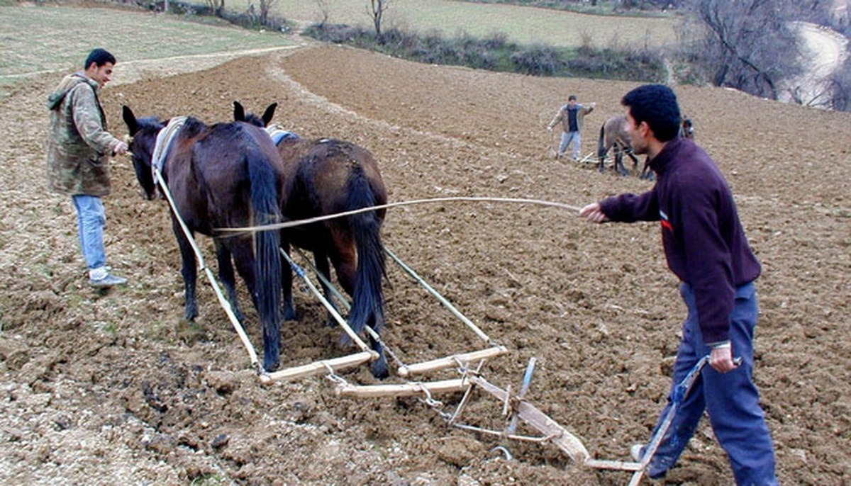 Engebeli Arazide Kara Saban Çözümü