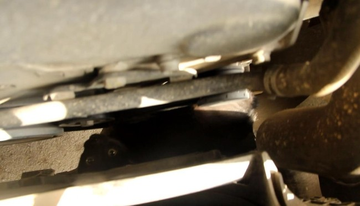 Otomobilin Motoruna Giren Kedi İki Saat Bursa\'yı Dolaştı