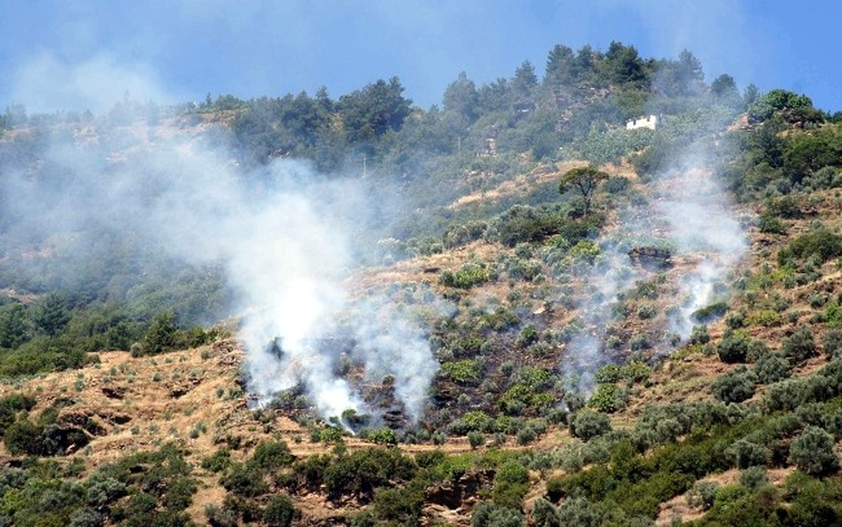 Bozdoğan\'da Arazi Yangını Korkuttu