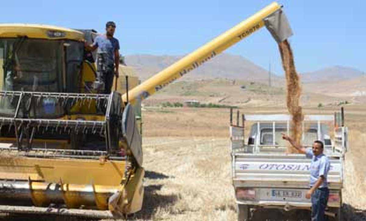 Elbistan\'da Hasat Zamanı