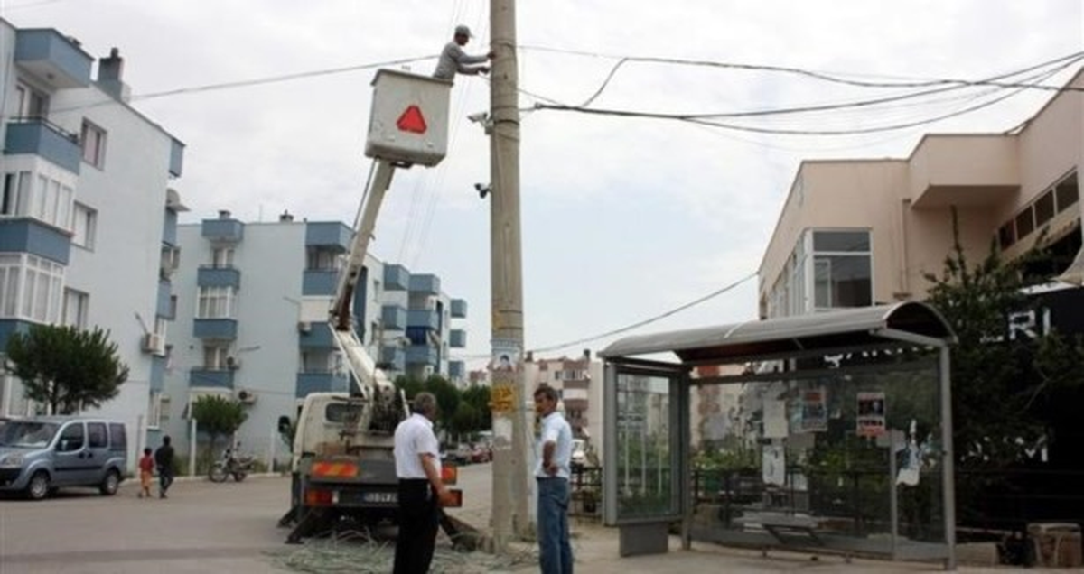 İzmir\'de Elektrik Teline Çarpan Karga Yangına Neden Oldu