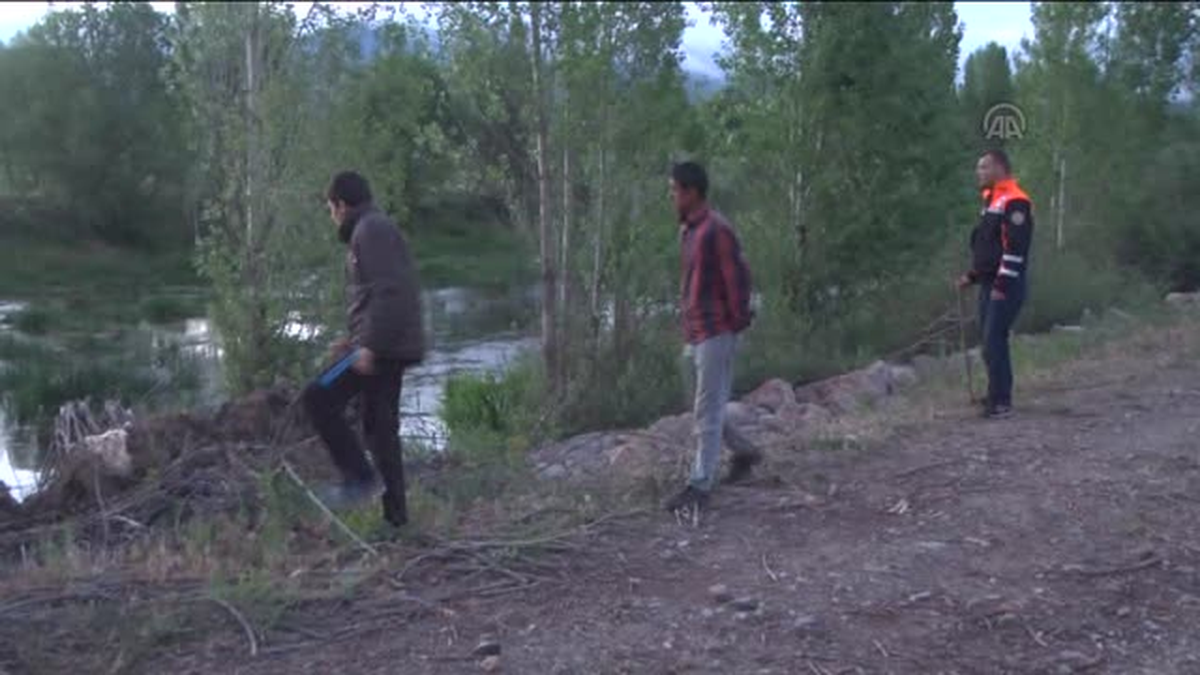 İki kardeşin kaybolması -