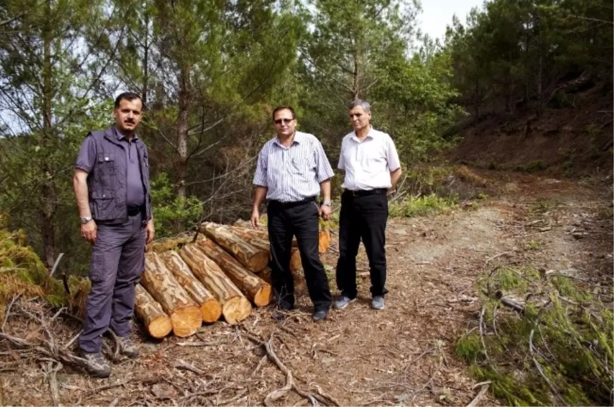 Mersin'de Rampa Satışları Devam Ediyor