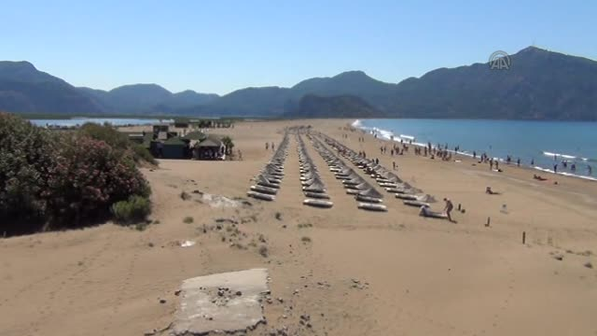 Plajda el ele tutuşarak insan zinciri oluşturdular -