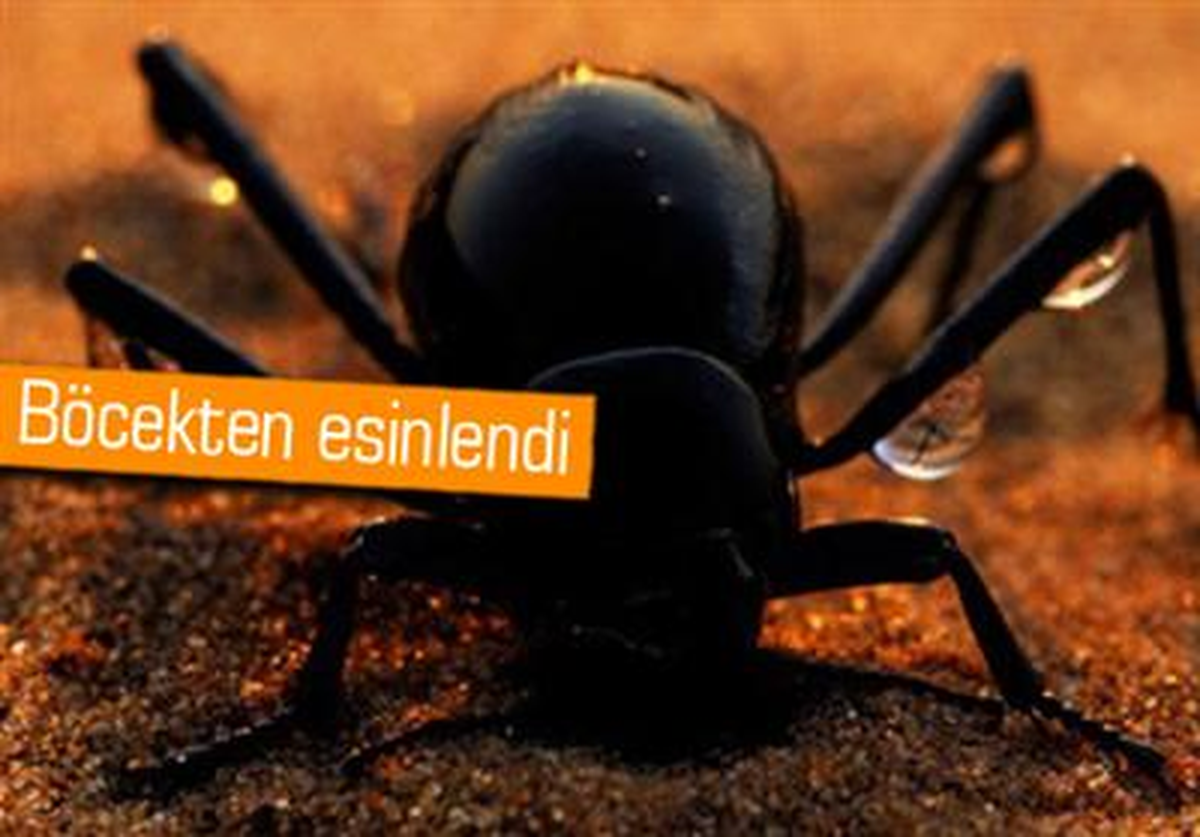 Türk Bilim İnsanından Susuzluk Sorununa Nano Çözüm
