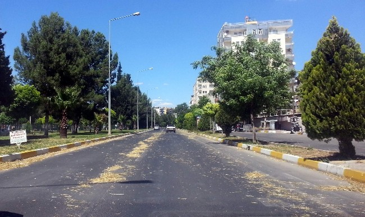Yola Dökülen Samanlar Trafiği Tehlikeye Düşürüyor