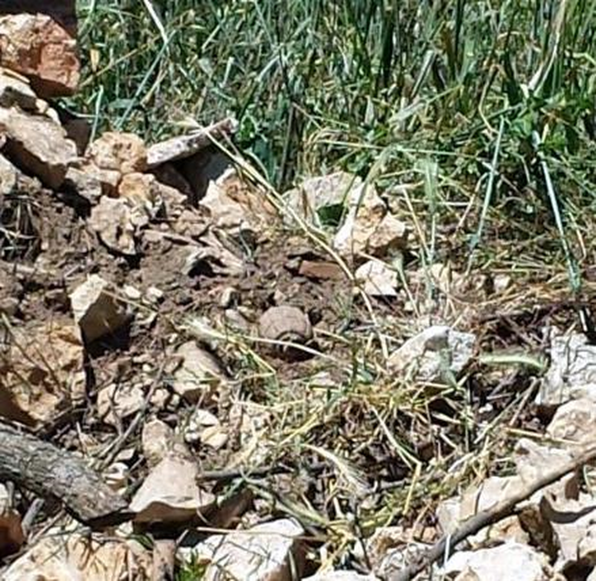 Bilecik\'te 90 Yıllık El Bombası Bulundu