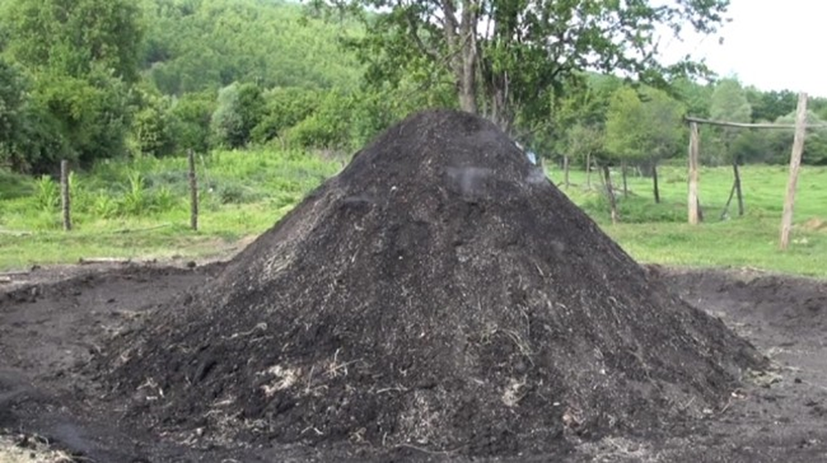 Bu Köyün Geçim Kaynağı "Mangal Kömürü"