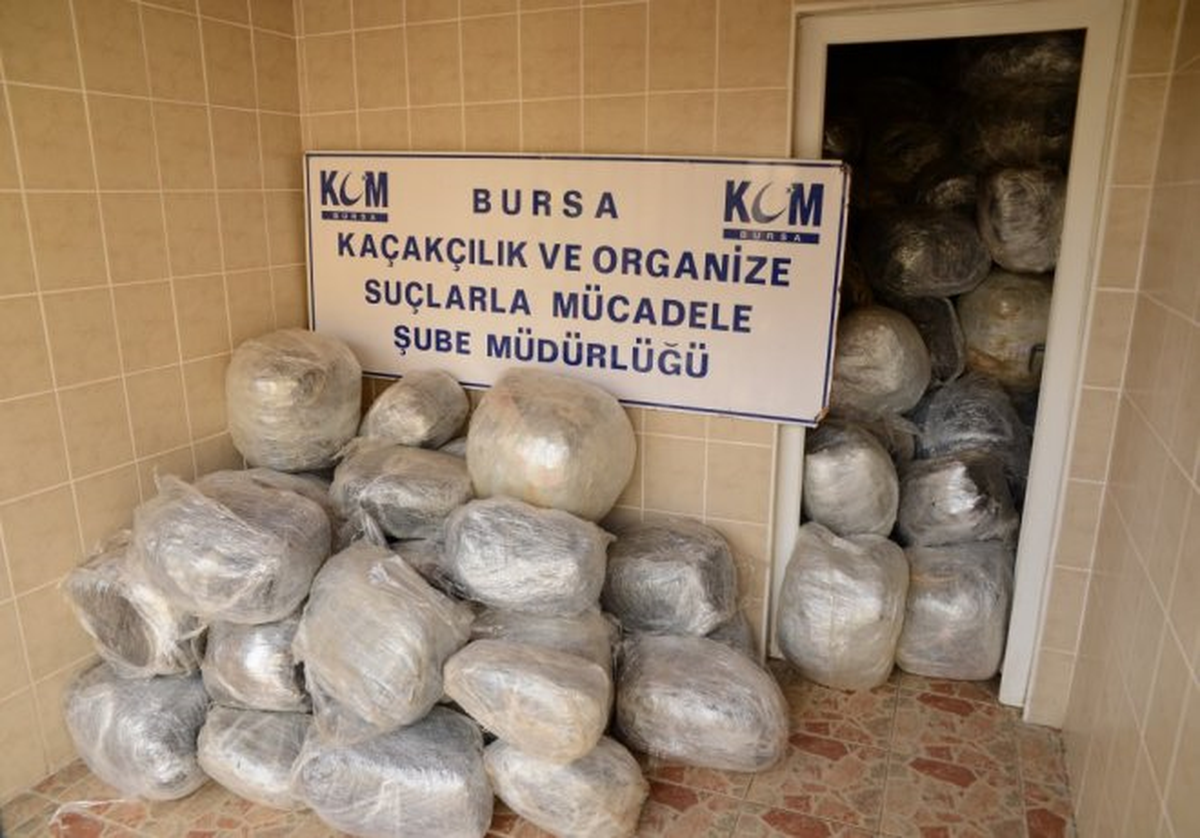 Bursa Polisinden Açıklama: 6 Ayda 1,5 Ton Esrar, 13,5 Kilo Bonzai Ele Geçirildi