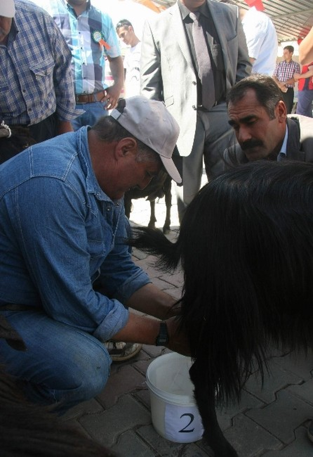 Çiğ Süt Desteklemeleri Ödeniyor