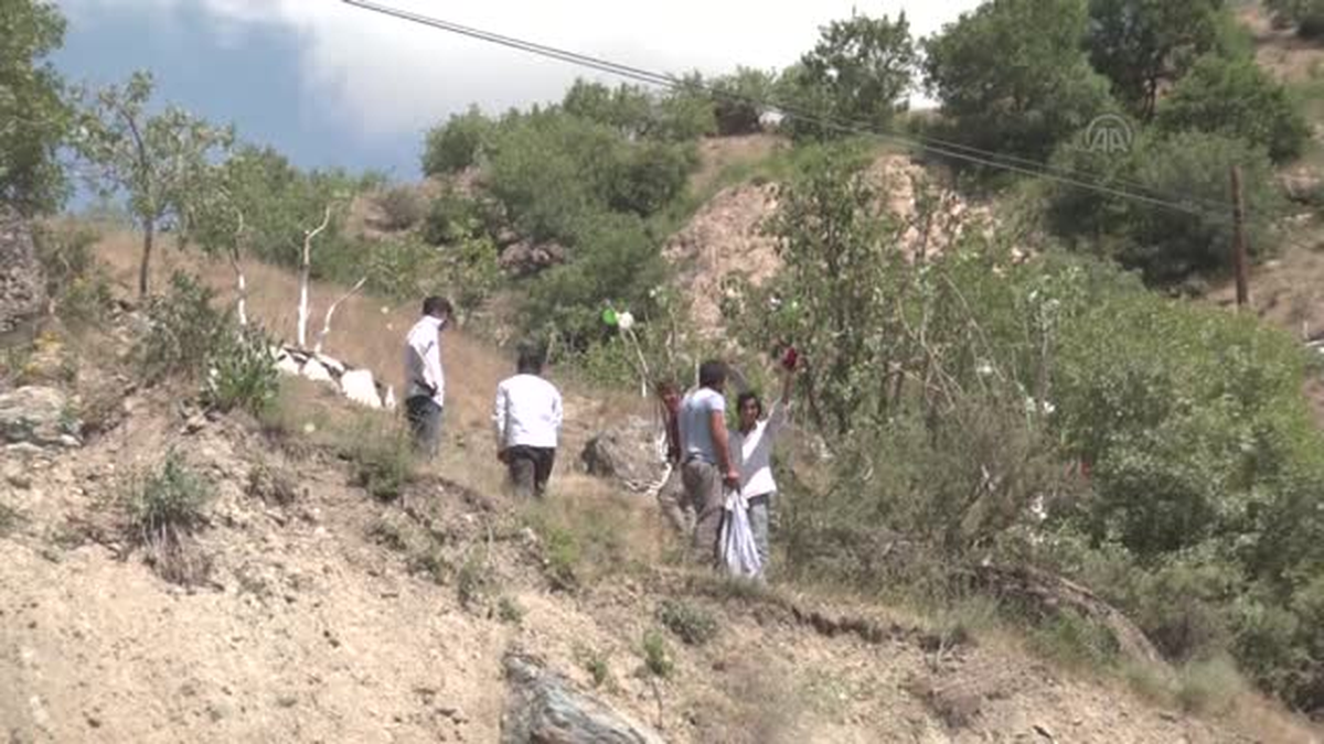 Hakkari dağları fıstık ağaçlarıyla yeşerecek