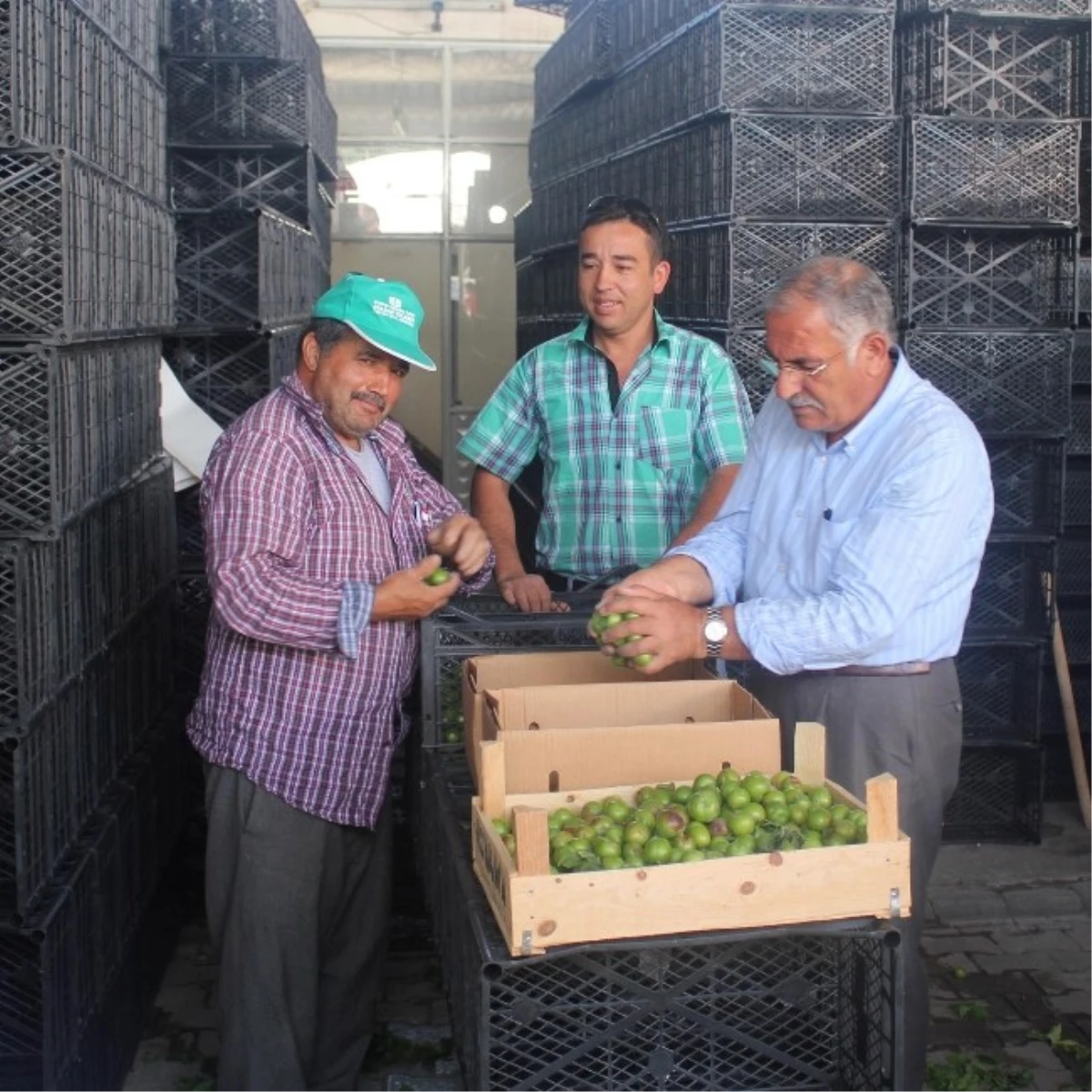 Korkuteli\'nde Hal Sezonu Açıldı