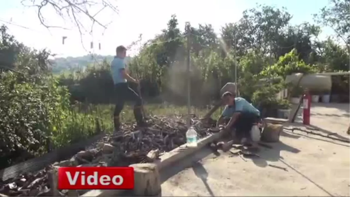 Köylülerin Tüfek, Balta ve Nacaklarla Yılan Nöbeti