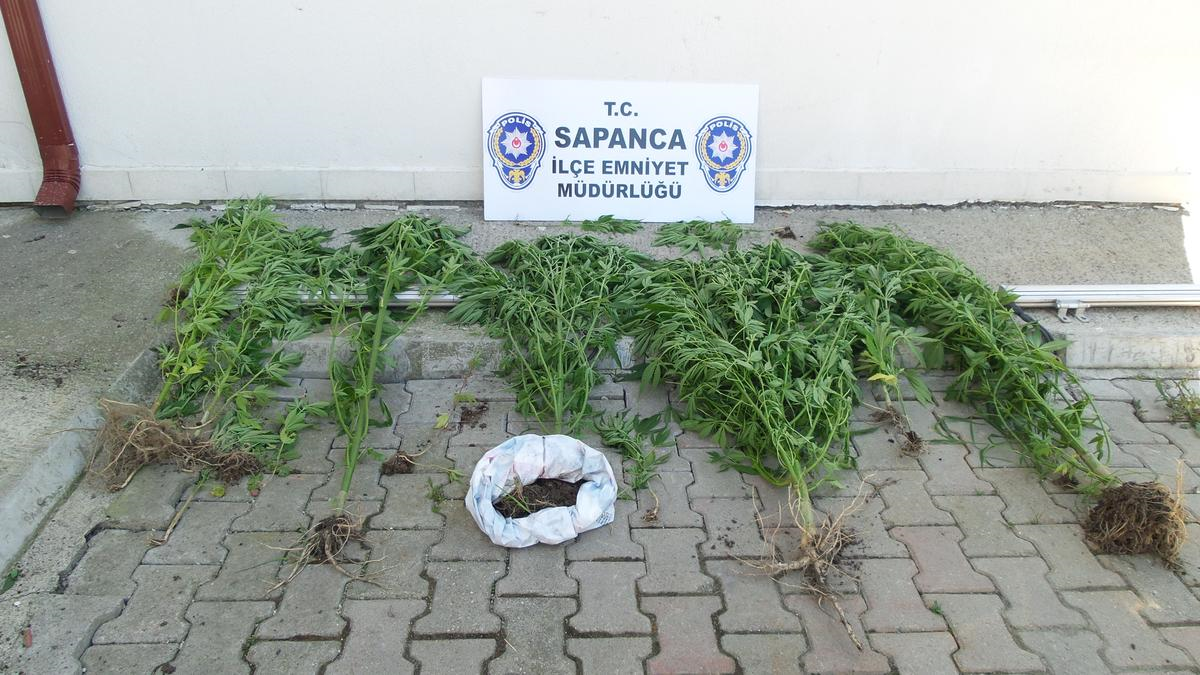 Sapanca\'da Hint Keneviri Ele Geçirildi