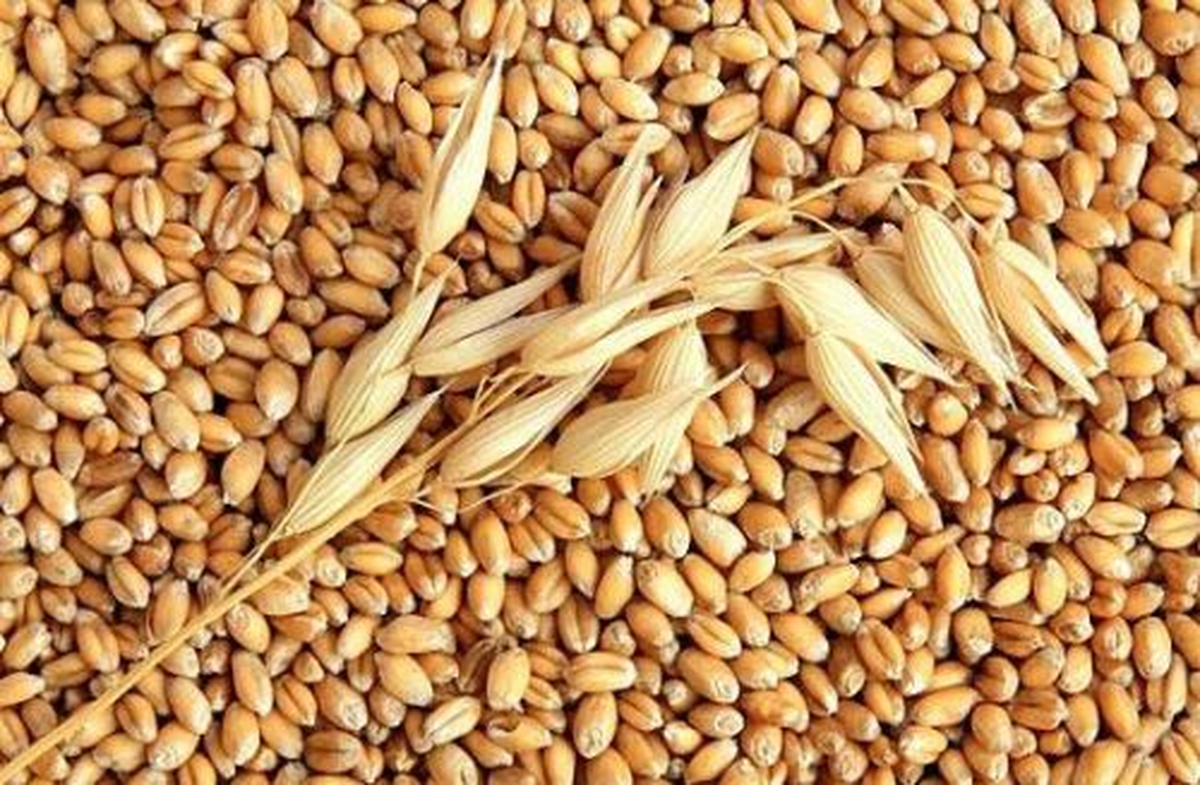 Sungurlu\'da Yılın İlk Mahsülleri Borsaya Geldi