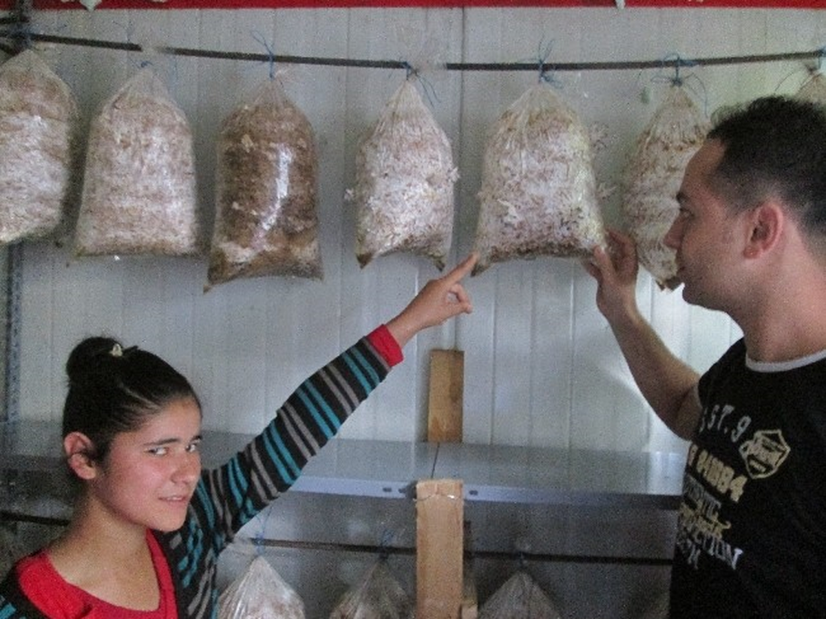 Zihinsel Engelli Öğrenciler Mantar Yetiştirecek