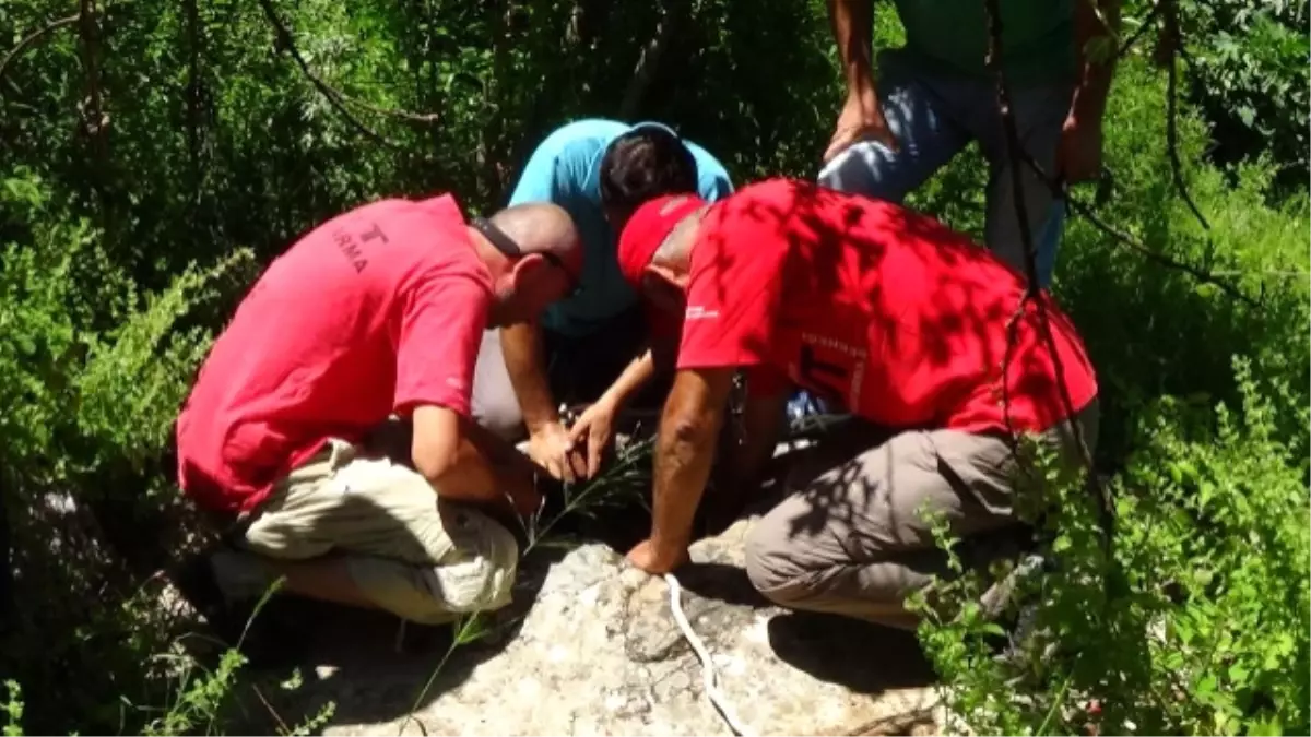 34 Yıl Önce Kaybolan Kadının Kemikleri Su Kuyusunda Arandı