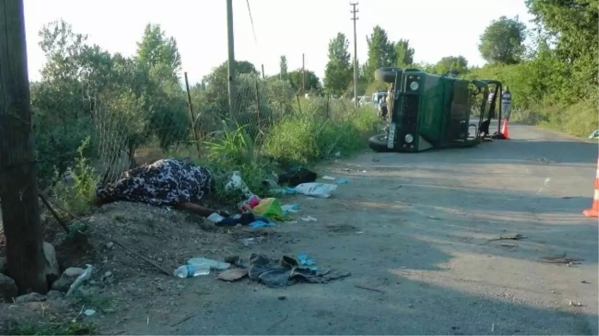 Safari Cipi Denetimden Kaçmış İddası