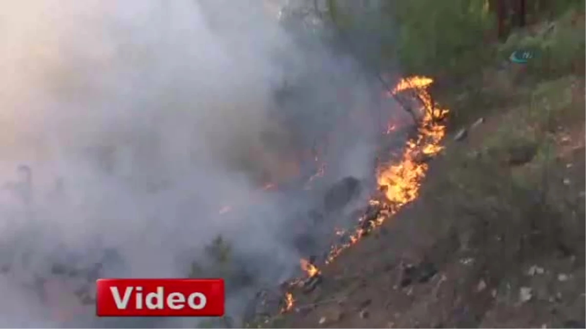 Samsun\'da Orman Yangını Söndürülemiyor