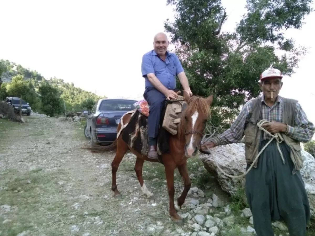 At Sırtında Bir Belediye Başkanı