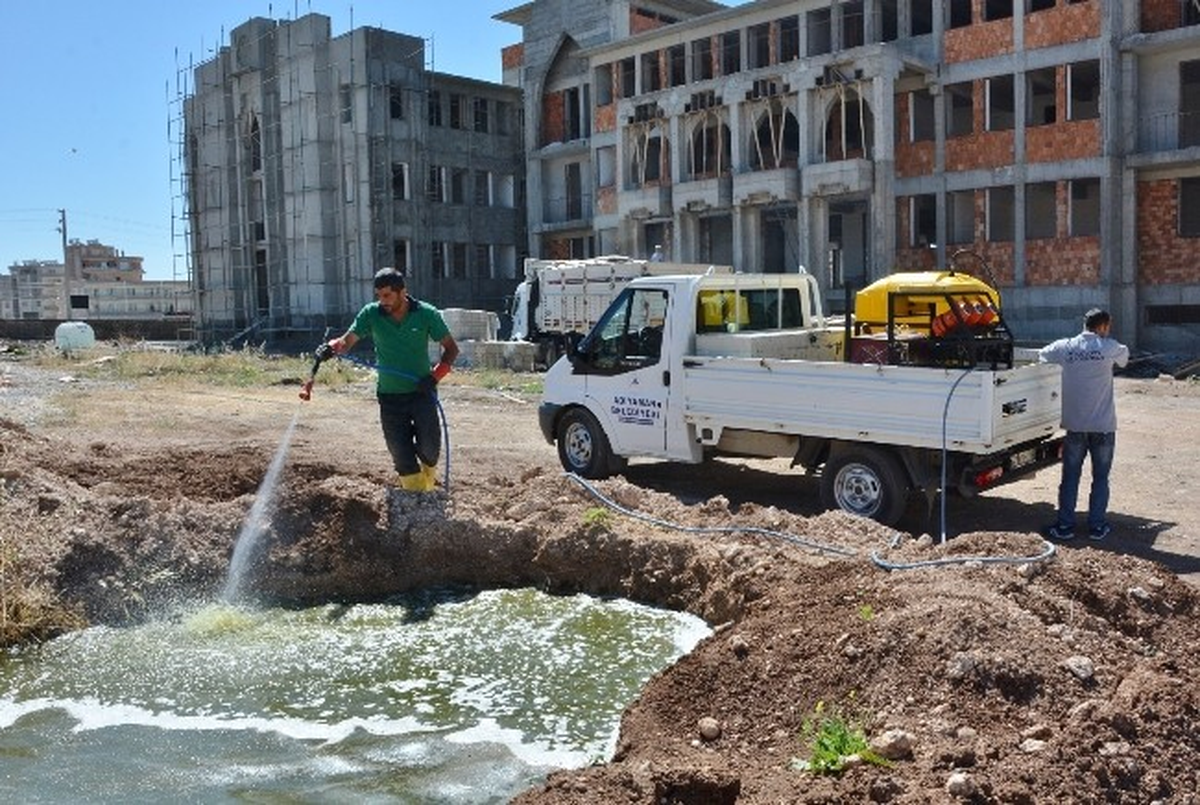 Belediye Ekiplerinin Haşereyle Mücadelesi Sürüyor