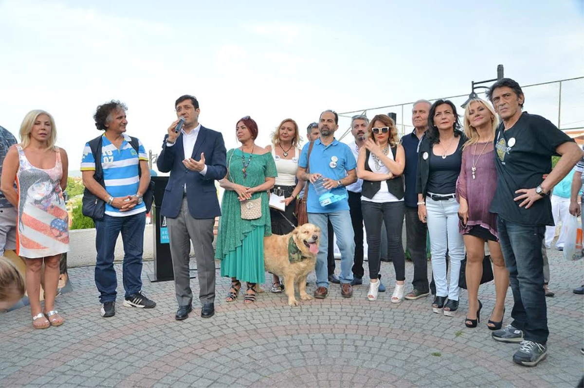 Beşiktaş\'ta, "Sokak Hayvanları Şenliği" Yapıldı