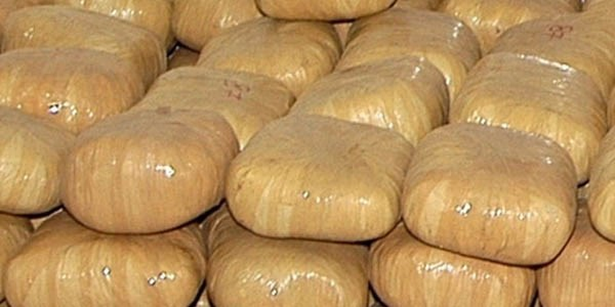 Gümrük Muhafaza Ekipleri 370 Bin TL\'lik Kokain Ele Geçirdi