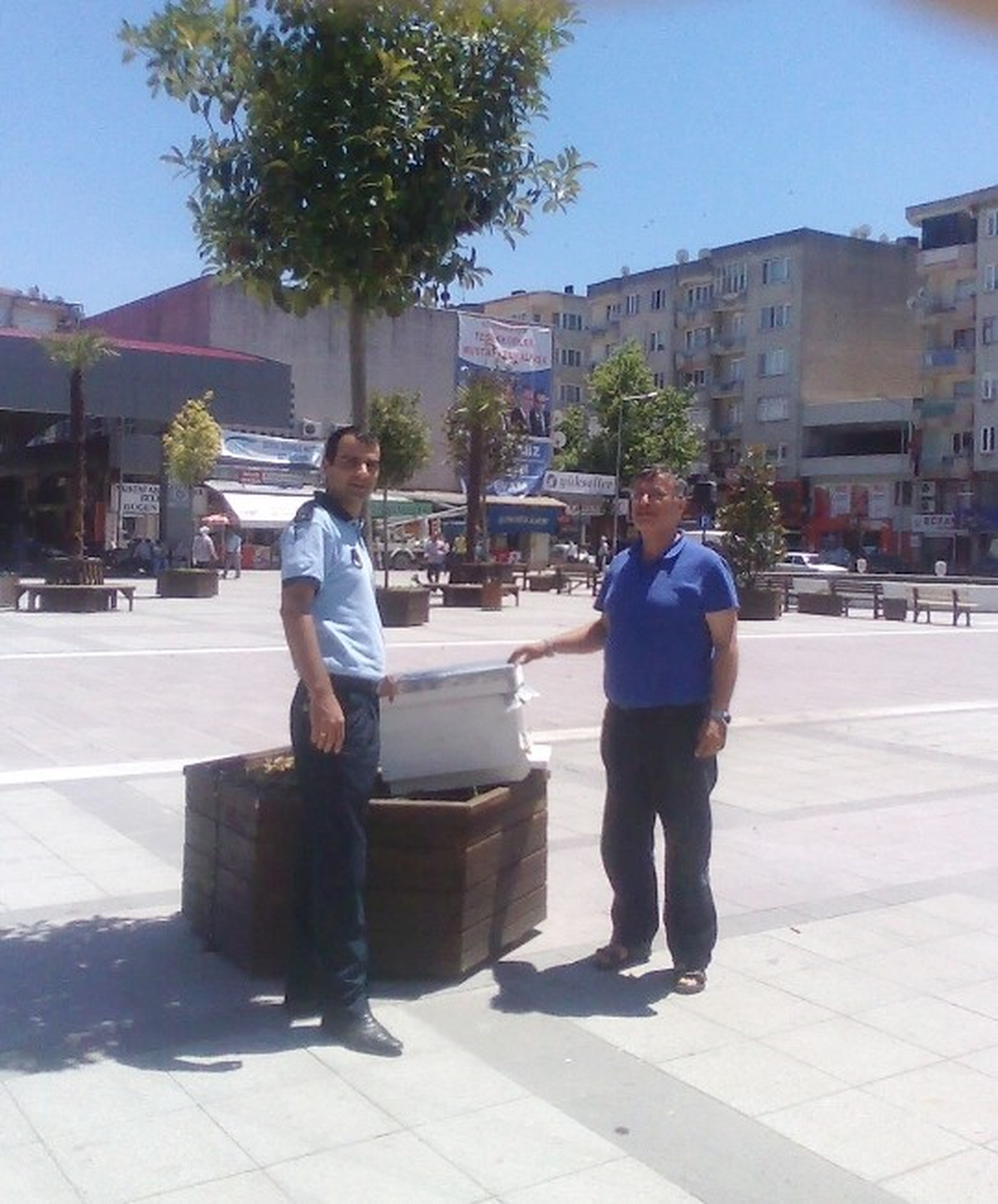 Meydandaki Arı Kolonilerine Arıcı Operasyonu
