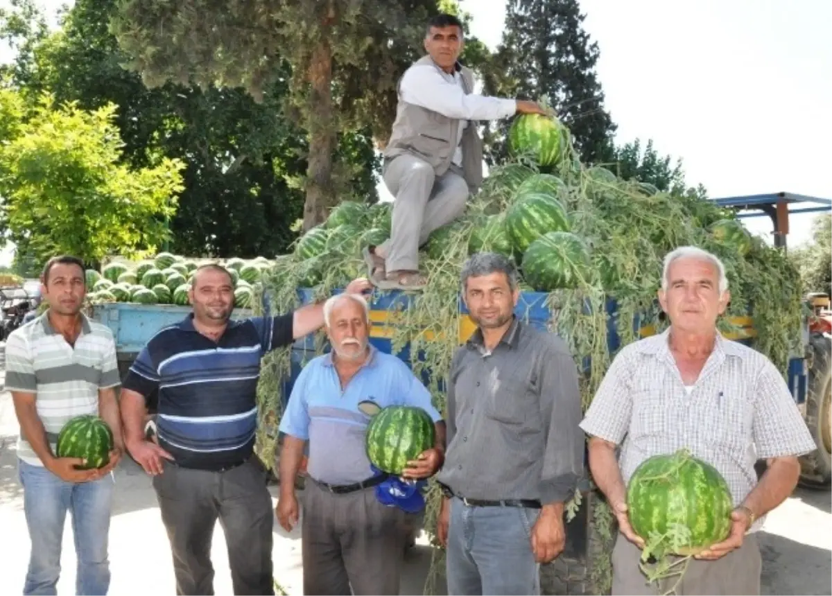 Ödemiş\'te Karpuz Sezonu Açıldı