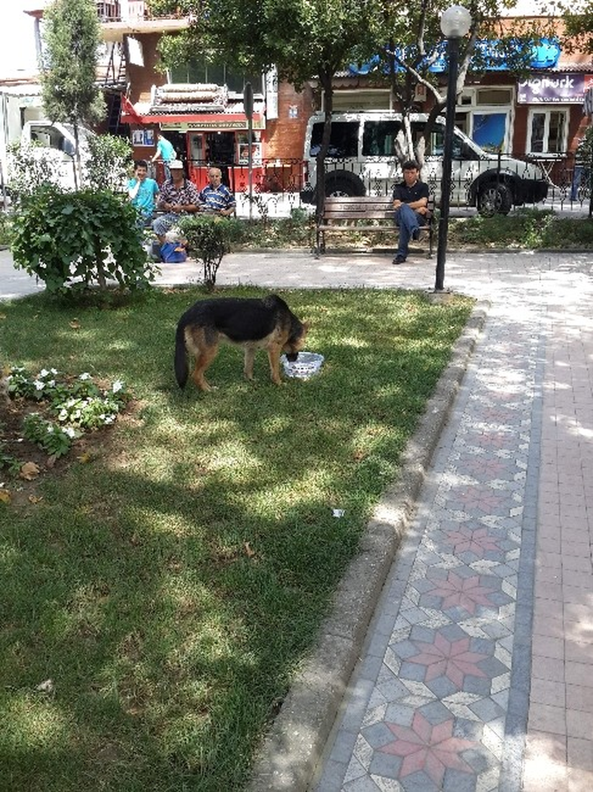 Sokak Hayvanlarına Su Kabı