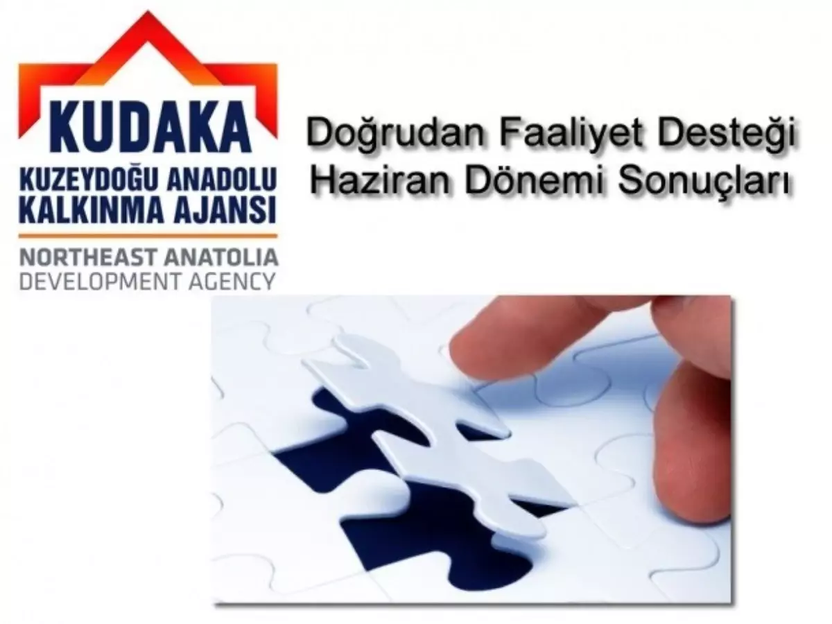 2014 Yılı Doğrudan Faaliyet Desteği Haziran Dönemi Sonuçları