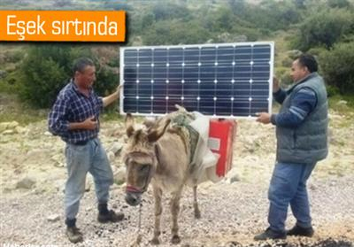 İzmir\'de Eşek Sırtında Elektrik Ürettiler
