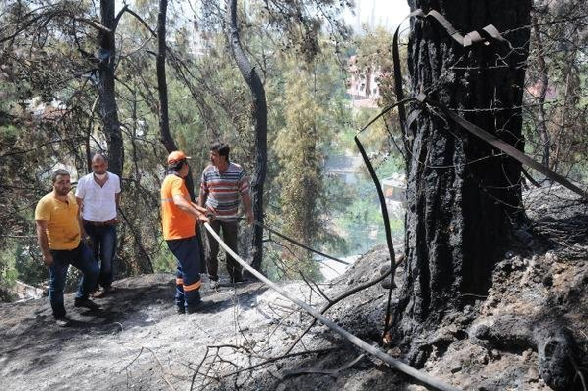 Yangına Hortumla Su Sıkarak Müdahale Ettiler
