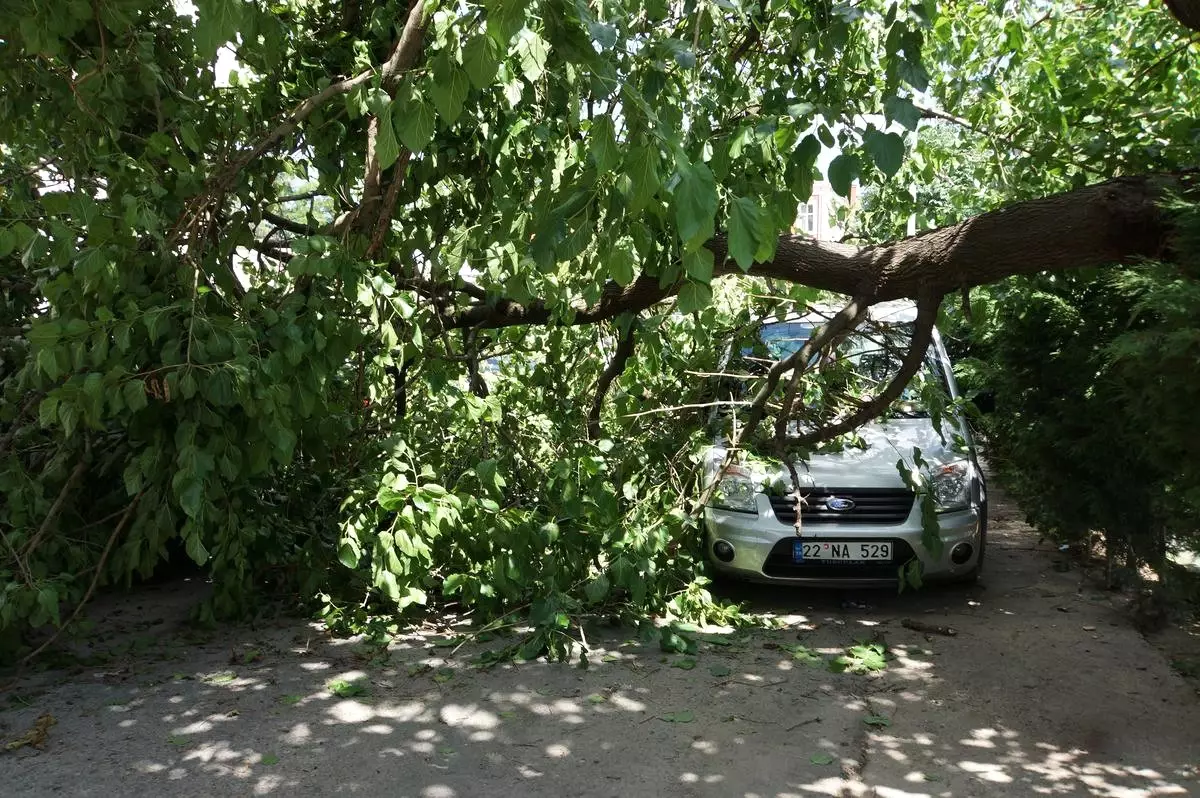 Ağaç, Park Halindeki Otomobillerin Üzerine Devrildi