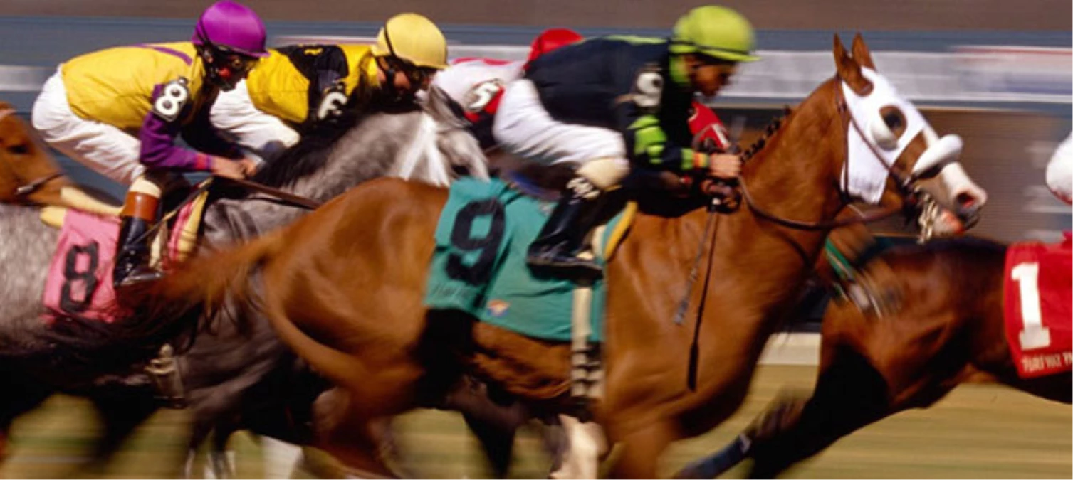At Yarışlarında Gazi Koşusu Heyecanı