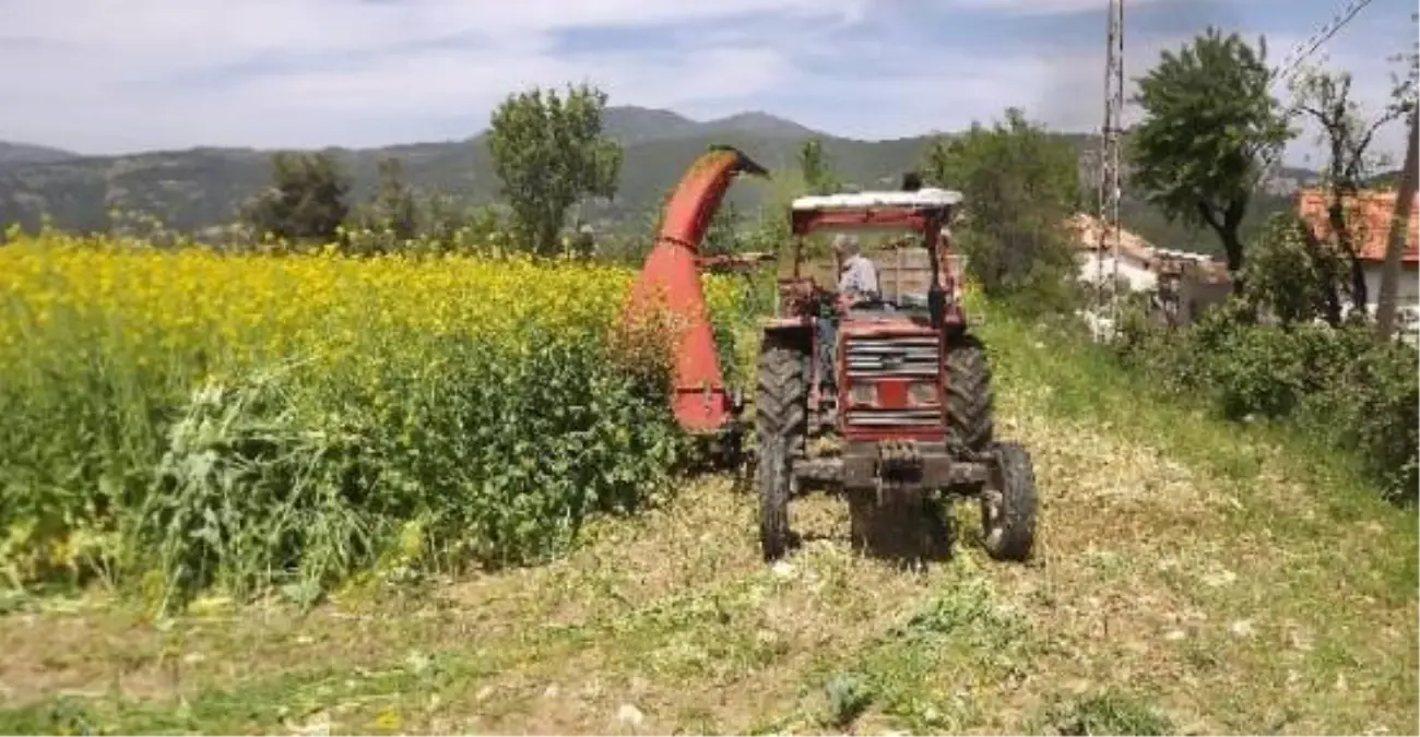 Biga\'da "Tarla Günü" Etkinliği
